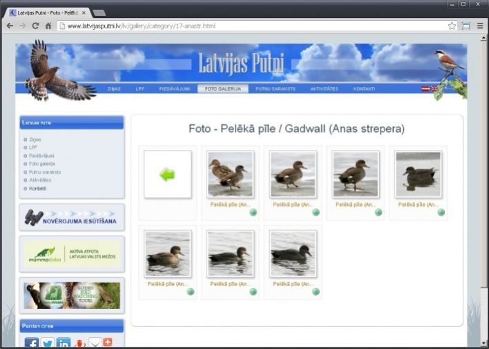 majas-lapu-izveide-dizains-GVM_53_708_504_94